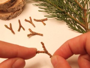 renszarvas faszeletbol